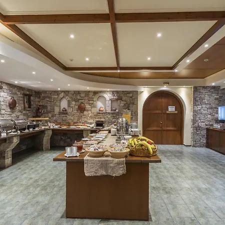 Hotel Anemolia Mountain 4*