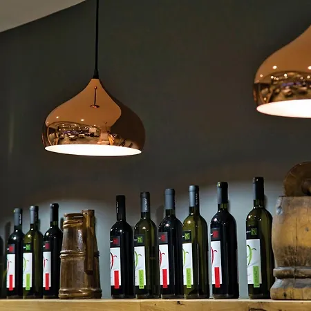 Anemolia Mountain Hotel Arachova