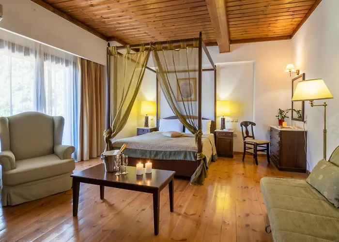 Anemolia Mountain Hotel 4*