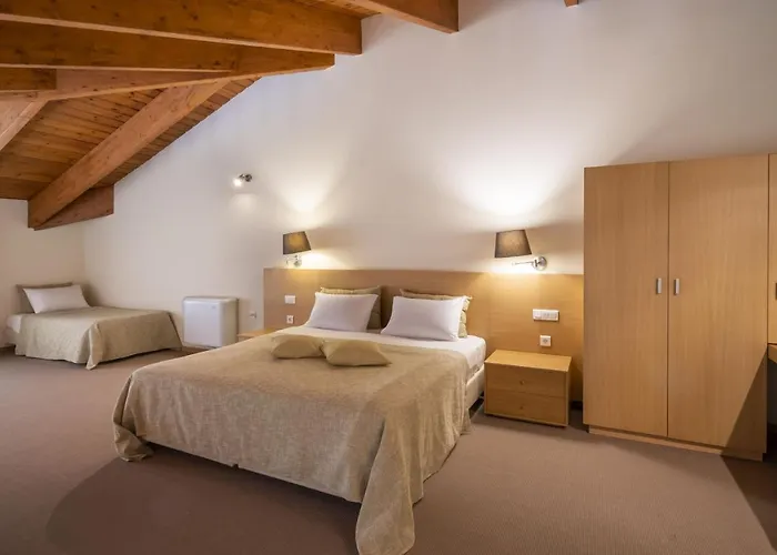 Anemolia Mountain 4* Arachova