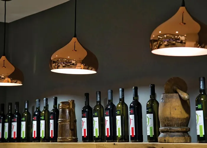 Anemolia Mountain Hotel Arachova