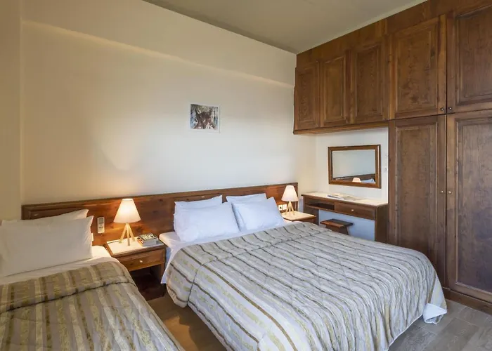 Anemolia Mountain Hotel Arachova